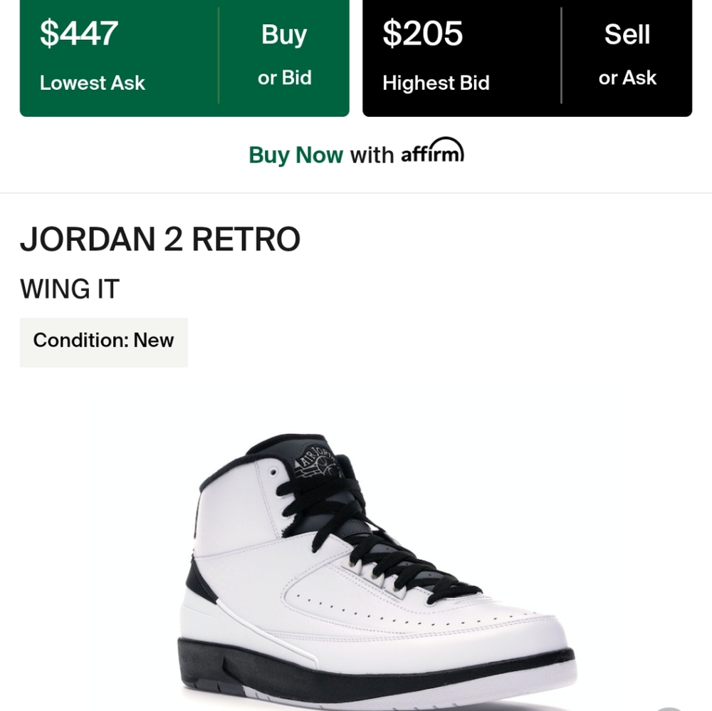 JORDAN RETRO 2 RARE (WING IT)